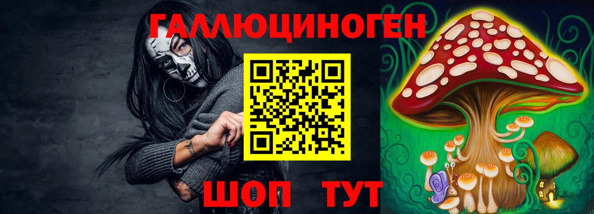 Галлюциногенные грибы Psilocybe  Псилоцибиновые грибы мицелий  Вход с VPN  Зеленогорск 